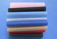 永定涤纶（PET）无纺布是什么